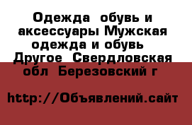 Одежда, обувь и аксессуары Мужская одежда и обувь - Другое. Свердловская обл.,Березовский г.